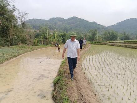 Kinh tế - Chính trị