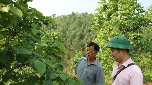 PHÒNG GIAO DỊCH NGÂN HÀNG CHÍNH SÁCH XÃ HỘI VĂN LÃNG ĐẨY MẠNH CHO VAY GIẢI QUYẾT VIỆC LÀM, GÓP PHẦN PHÁT TRIỂN KINH TẾ ĐỊA PHƯƠNG