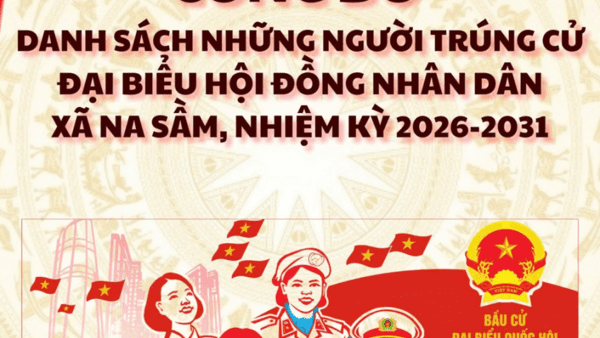 CÔNG BỐ DANH SÁCH NHỮNG NGƯỜI TRÚNG CỬ ĐẠI BIỂU HĐND XÃ NA SẦM, NHIỆM KỲ 2026 - 2031