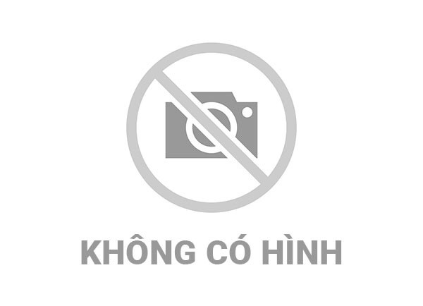 Đại hội chi bộ Văn phòng HĐND và UBND - Văn hoá, xã hội